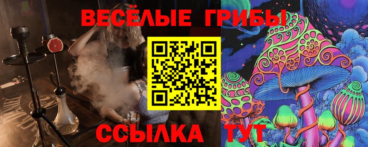 Псилоцибиновые грибы GOLDEN TEACHER  Вход с VPN  Галлюциногенные грибы ЛСД  Красный Сулин 