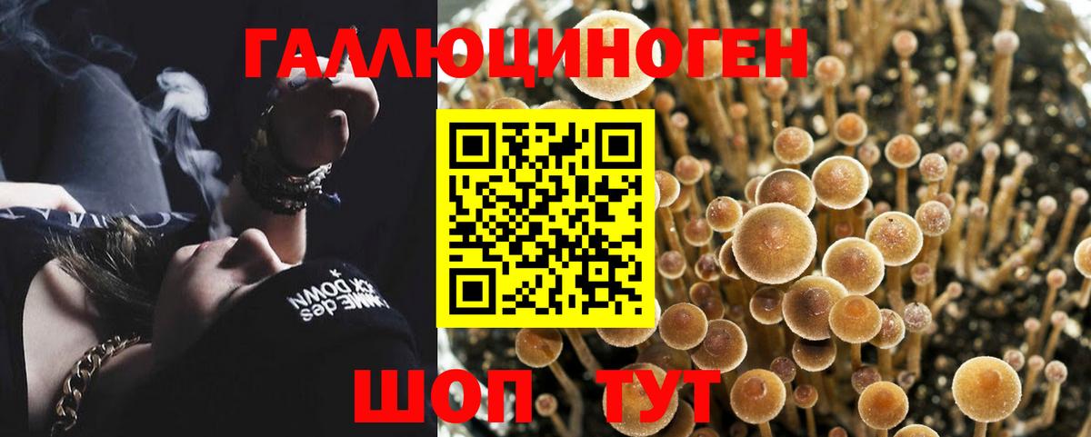 Галлюциногенные грибы Magic Shrooms Красный Сулин